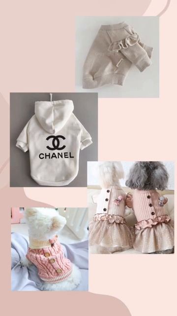 пишите в коменты если есть собака 🐶 #собака #выбирашк? смотреть онлайн
