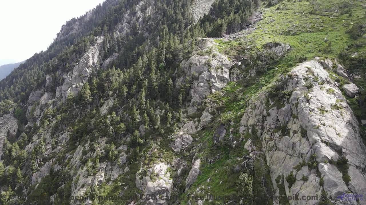 Этот лес НАУЧИЛСЯ говорить. - Chainlink Melody -- Podington Bear -- Said Lion To Lamb (Box Set Disc