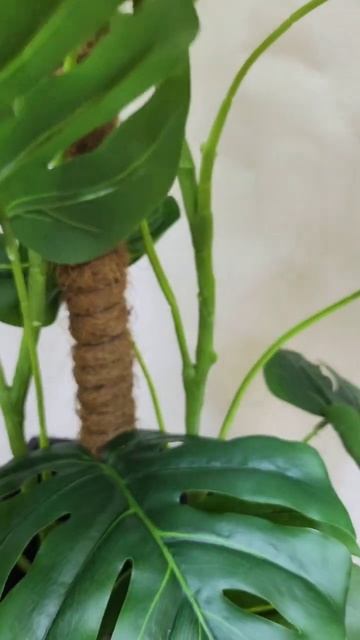 18 июля 2024 г. смотреть онлайн