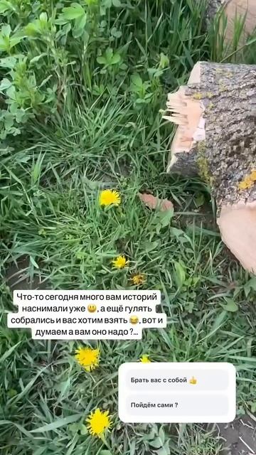 Идём гулять с нами по новому двору #garden #gardenlife #огород #? смотреть онлайн