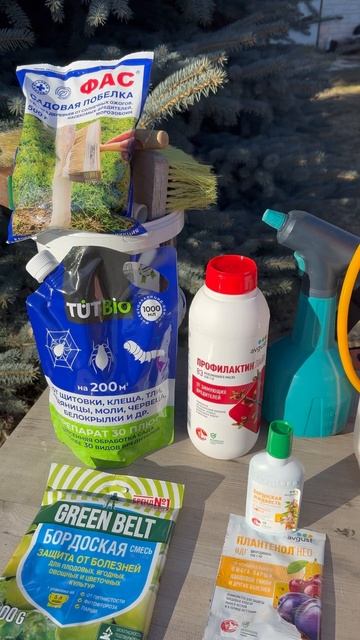 Весенняя «промывка» сада. Истребляем зимующих вредит? смотреть онлайн