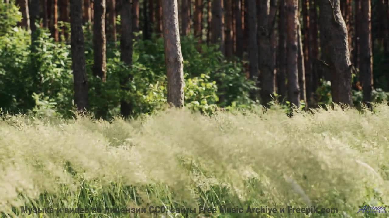 Музыка, которая превращает рассвет в волшебство! - Action -- Chad Crouch -- Arps II