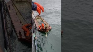 путина на красную рыбу   смотреть бесплатно всем