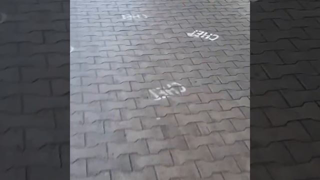 Зима.☝️😂👍24.12.2020 г. Выход ЕСТЬ!😂 смотреть онлайн
