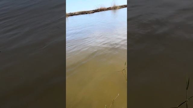 Рыбалка Астрахань, отдых по-мужски смотреть онлайн