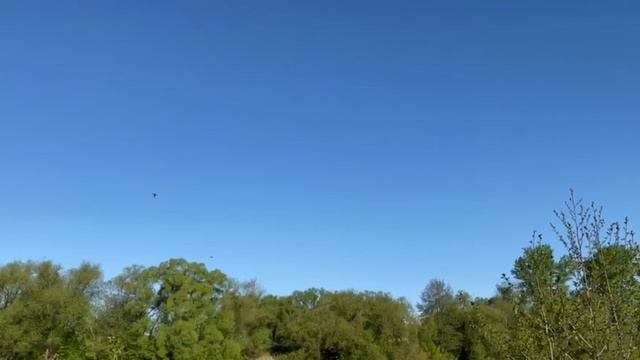 релакс смотреть онлайн