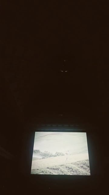 22 ноября 2024 г. смотреть онлайн