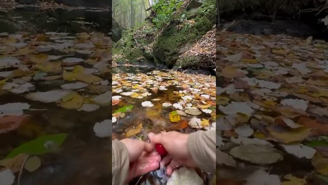 Бонито-гриль на печи из натурального камня Жареная ск смотреть онлайн