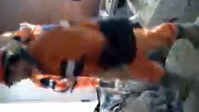 Прикол сибальп (буровая установка)