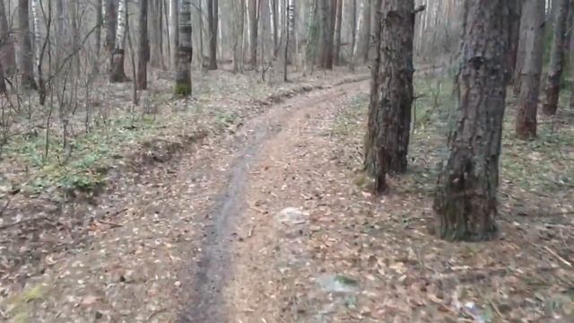 Гусь-Хрустальный весна стрим смотреть онлайн