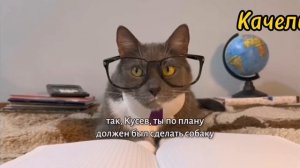 Котинет серия «БЯБЯделки» телеканал «Качели»