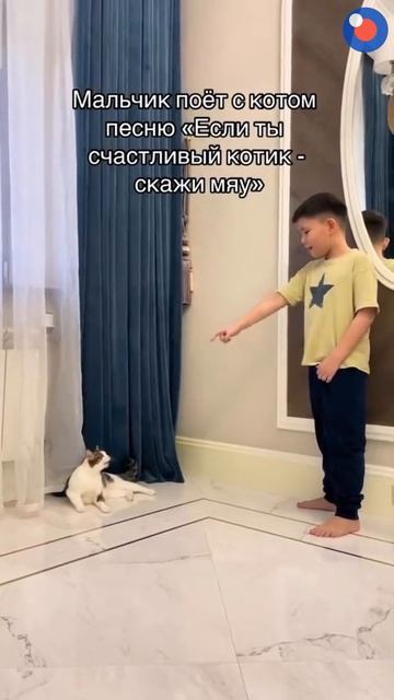 Желание дня: быть котиком и говорить «мяу»😸# #Котики # смотреть онлайн
