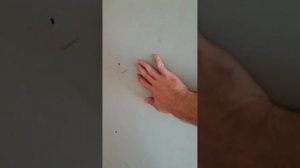 Ошибки при монтаже обоев на стену из пенопласта и испр