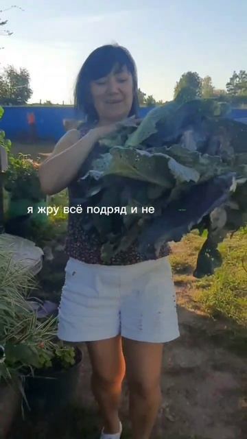 я ем и не толстею.... #булочкихуюлочки #худеем #какнетол? смотреть онлайн