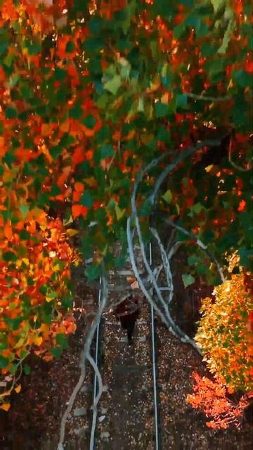 Давайте верить в чудеса! | Let's believe in miracles! смотреть онлайн