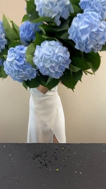 ПИШИ НАЗВАНИЕ ЦВЕТОВ В КОММЕНТАРИЯХ #цветы #flowers смотреть онлайн