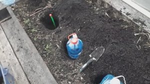 Как согреть грунт в теплице для ранней высадки томатов.