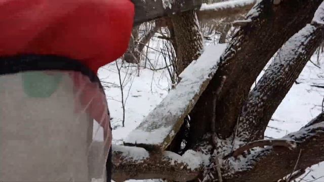 ДОМ НА ДЕРЕВЕ В ЛЕСУ!!!! 😯😯 смотреть онлайн