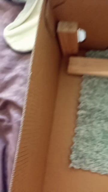 как сделать домик для крыс за пять минут смотреть онлайн