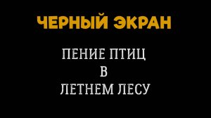 5 Часов! Пение Птиц в Солнечном Летнем Лесу. ЧЕРНЫЙ ЭКРАН для сна. БЕЛЫЙ ШУМ