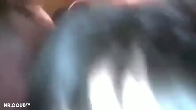 BEST CUBE #35 | BEST COUB | Лучшие Приколы Январь 2020 | Best Fails | GIFS WITH SOUND |20МИНУТ СМЕХ смотреть онлайн