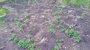 Суета сует 🤗