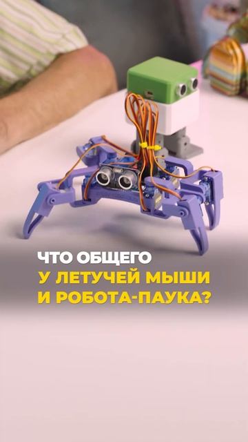 Чем летучая мышь и робот-паук похожи? смотреть онлайн