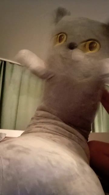 у меня теперь есть кот батон смотреть онлайн