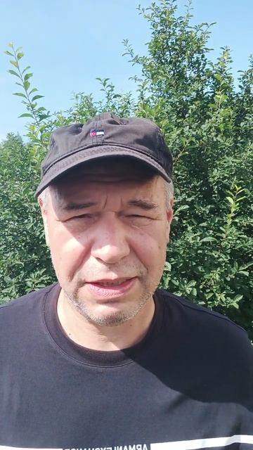 Места Силы. Книга. Есть в издательстве: https://magic-kniga.ru/perso смотреть онлайн