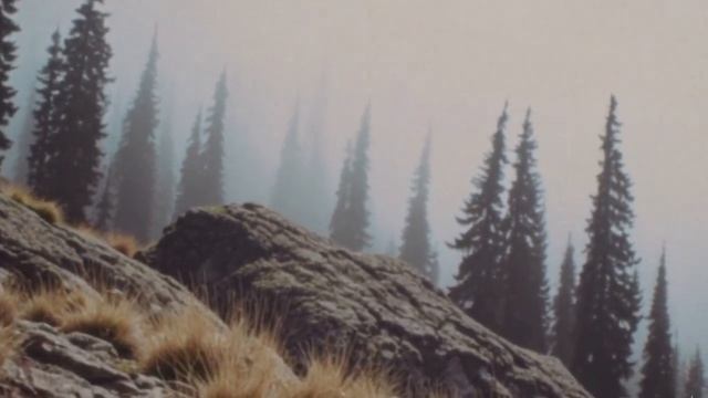 СТРАШНЫЙ СОН СПАСАТЕЛЕЙ. СИГНАЛ ЕСТЬ - ПРОПАВШИХ НЕТ. Х смотреть онлайн