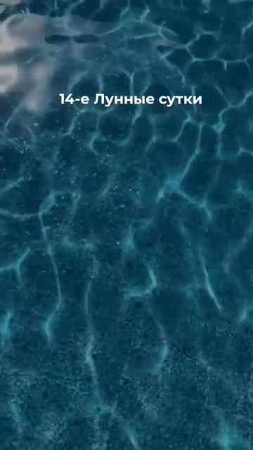 Лунный календарь на 8 октября #женскаяэнергетика#таро смотреть онлайн