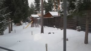 Как обогреть теплицу весной.  Инфракрасные обогреватели.