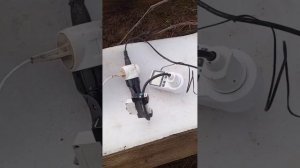 Защита винограда от заморозков и морозов.