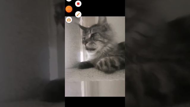 есть такое имя в классе часть 2 смотреть онлайн