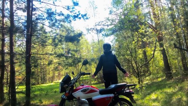 Плюсы и минусы мопеда Альфа RX 110 — честный обзор смотреть онлайн