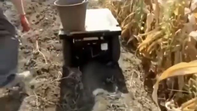 приколы вот это я понимаю технология будущего смотреть онлайн