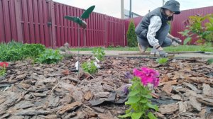 МОЙ ШОК ОТ ЦЕН/ПОЕЗДКА НА МОРЕ/ДЕРЖИМ ХОЗЯЙСТВО И ЖИВЁМ ЖИЗНЬ В ДЕРЕВНЕ