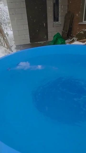 Купель 1,9х1,1 с наклонной спинкой + дровяная печь смотреть онлайн