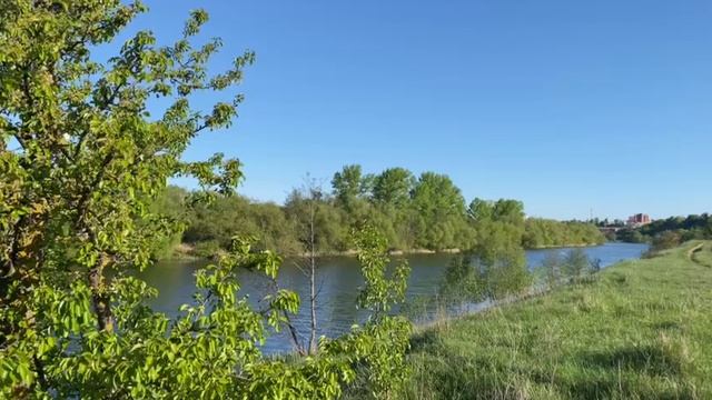 релакс смотреть онлайн