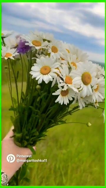 Эх,Ромашка-Василёк🌼💞🌼 смотреть онлайн