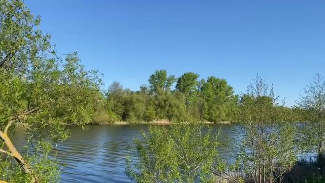 релакс смотреть онлайн