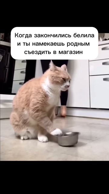 Ты не ты, когда закончились белила 😂 #художник #ольгаб смотреть онлайн