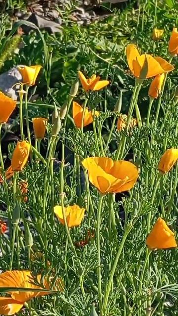 В каждом дне есть что-то особенное! смотреть онлайн