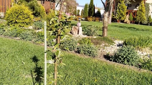 Уютный день дома. Потихоньку ухожу в "поля". Заниматель смотреть онлайн