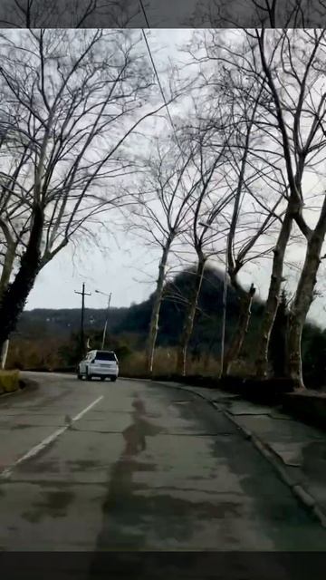 Платановая Аллея города Ткуарчал. Верхняя и нижняя пл? смотреть онлайн