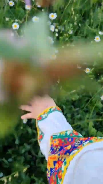 эх, ромашка, василек смотреть онлайн