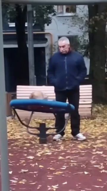 Каждому надо такой человек… кто покатает на качелях смотреть онлайн