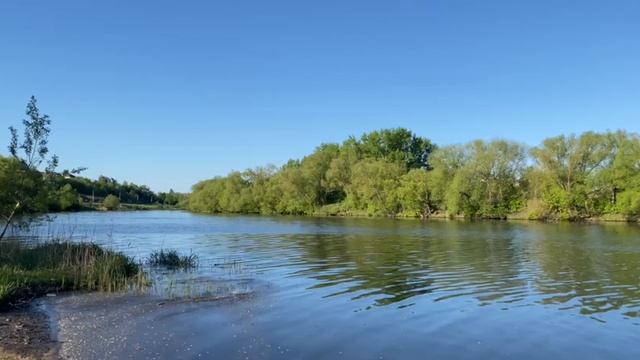 природа смотреть онлайн