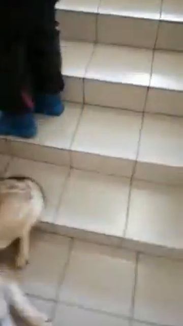 Рейна и первый раз лестница смотреть онлайн