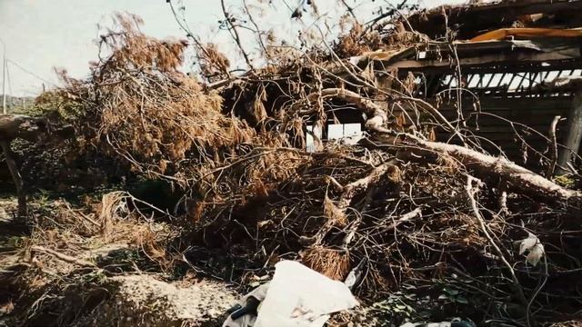 Абхазия пицунда рыбхоз песчаный пляж пенная вечеринк? смотреть онлайн